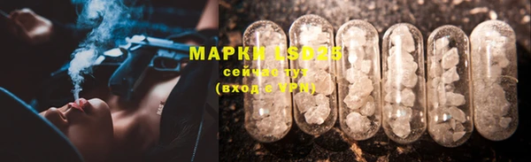 spice Приозерск