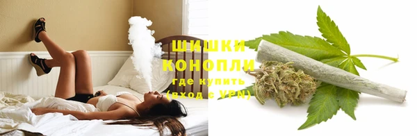 шишки Пролетарск