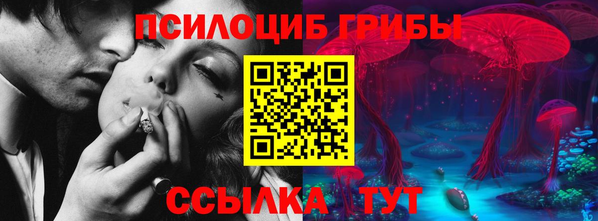 Галлюциногенные грибы мухоморы  Лангепас  Галлюциногенные грибы мухоморы 